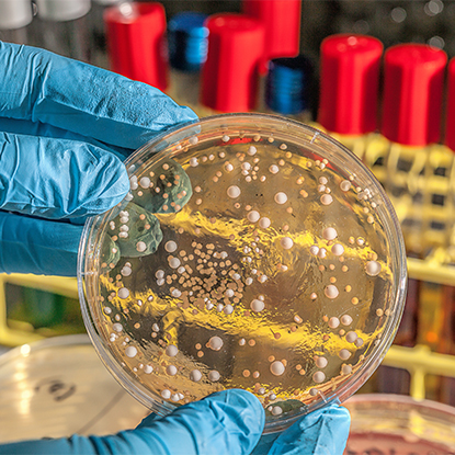 Egészség- és Betegségellenőrzés