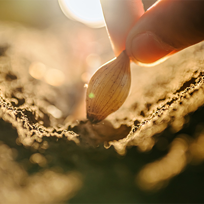 Mezőgazdaság és Erdészet